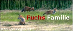 Fuchs Familie bei Großfurra