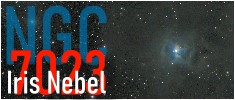 Iris Nebel