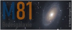 M81
