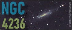 NGC 4236 im Stb. Drache